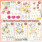 Dried Pressed Flowers for Resin, Real Pressed Flowers Dry Leaves Bulk Natural - Image 3