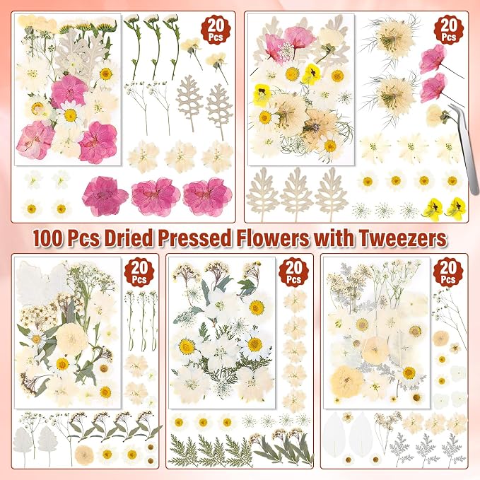 Dried Pressed Flowers for Resin, Real Pressed Flowers Dry Leaves Bulk Natural - Image 3