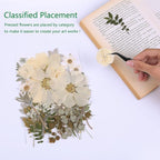 48PCS White Large Real Dried Pressed Flowers Leaves Natural Plant Herbarium - Image 3