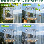Window Bird Feeder with 4 Extra Strong Suction Cups | Clear Bird Feeder with - Image 8