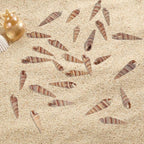 400 PCS Mini Sea Shells Natural Small Seashells, 0.6"-1.4" Tiny Sea Shells - Image 3