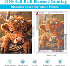 Highland Cow Diamond Painting Kits - Image 3