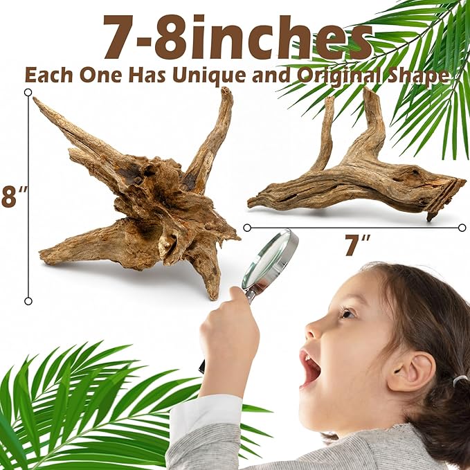 3PCS 8" Natural Driftwood for Aquarium & Reptile Tank, 7–8 Inches Unique Wood - Image 3