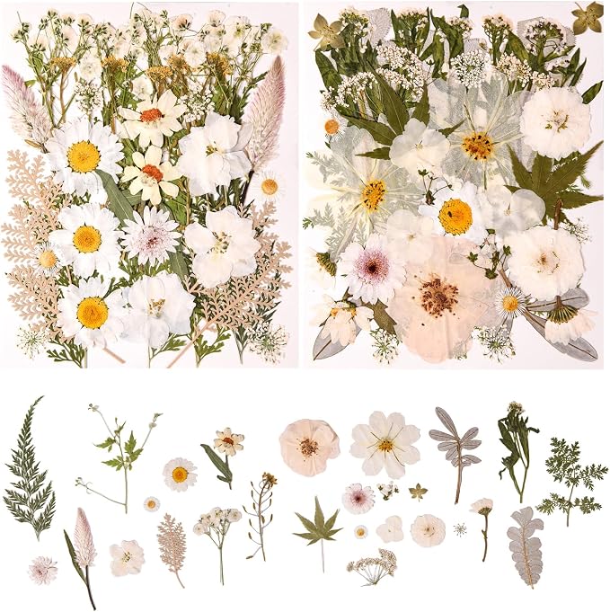 80PCS Natural Color Pressed Dried Flowers, Real Pressed Flowers, by nisetten