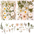 80PCS Natural Color Pressed Dried Flowers, Real Pressed Flowers, by nisetten