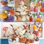 Fangoo 1.5 LB Mixed Sea Shells, 130+ PCS Beach Seashells Starfish Oyster Shells - Image 7