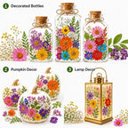 181 pcs Dried Flowers for Resin, Natural Flowers and Leaves Kit - Image 8