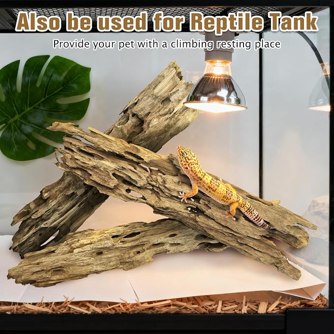 PINVNBY Natural Driftwood for Aquarium Large Reptile Terrarium Decor - Image 5