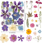 80PCS Spring Large Pressed Flowers Leaves, Real Nature Dry Flowers - Image 2