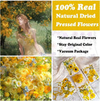 132Pcs Yellow Pressed Dried Flowers and Butterfly - Image 2