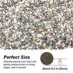 River Rocks, Landscaping Pebbles, Decorative Ornamental Pebbles, Garden - Image 2