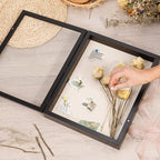 Califortree 12x16 Large Shadow Box Frame - Image 6