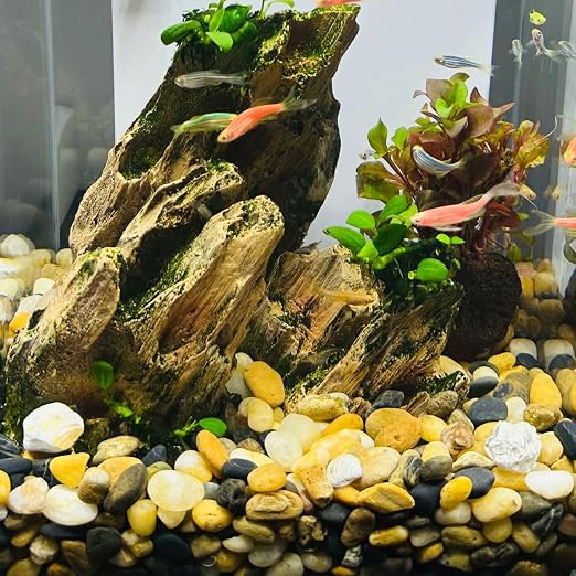 20LB Decorative River Rocks Gravel - Image 4