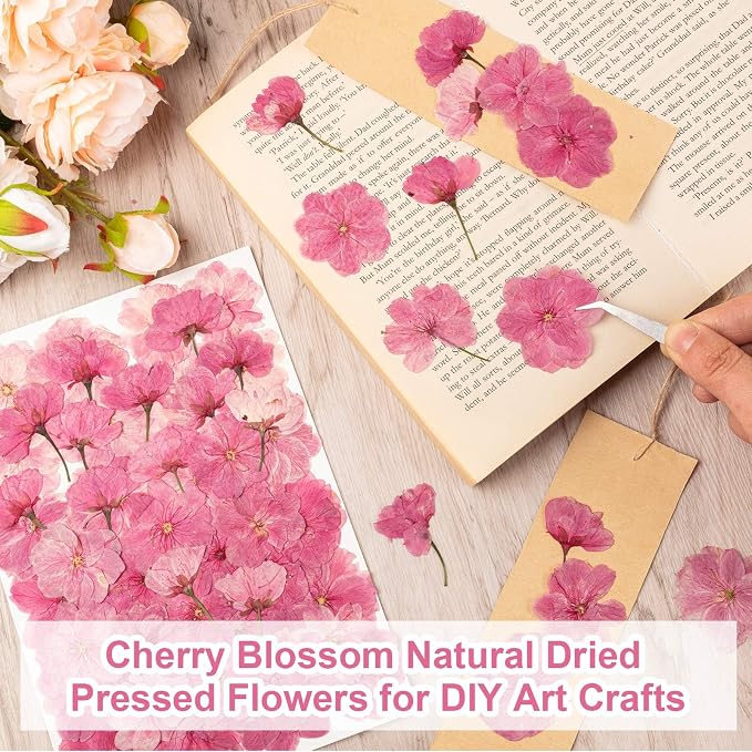 101 PCS Pressed Cherry Blossom for Crafts, Dried Sakura Flowers for Soap Candle - Image 6