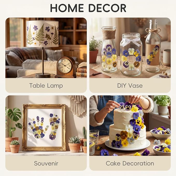 LUXEEASE 8 Color 64P Pansy Dried Pressed Flowers | Iconic face markings - Image 5