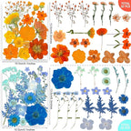 301Pcs Multi-Style Dried Pressed Flowers & Leaves - Image 6