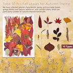 Large Bulk Fall Dried Pressed Leaves - Image 5