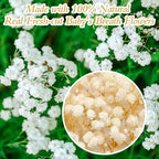 6500+ Mini Dried Baby's Breath Flowers, Wedding Wreath, Card Making, Home Decor - Image 4