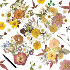 110Pcs Dried Flowers for Crafts, Dried Pressed Flowers for Resin Molds by Wellcometowyegey