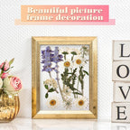 EBOOT 72 Pcs Dried Pressed Flowers - Image 6