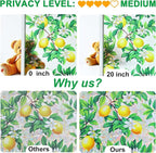 SOMWISE Rainbow Window Privacy Film, Heat Control, UV Blocking, Anti-Glare - Image 7
