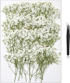 56Pcs Babys Breath Mini Dried Pressed Flowers by HLCYGJIN