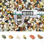 5 lb Pebbles for Indoor Plants, 3/8 Inch Decorative Rocks for Potted Plants - Image 2