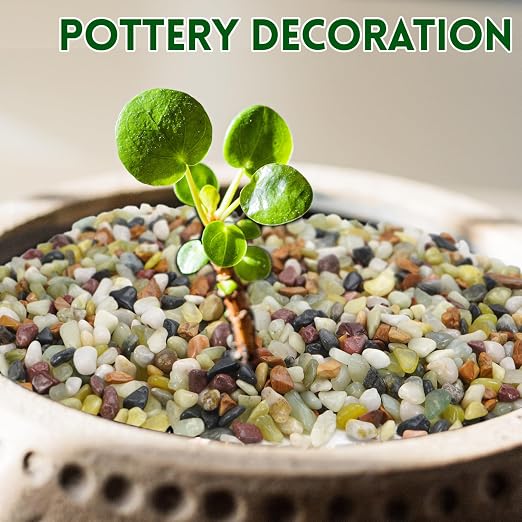5 lb Pebbles for Indoor Plants, 3/8 Inch Decorative Rocks for Potted Plants - Image 4