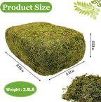 Riare 2.6LB Natural Moss Artificial Fake Moss Alternative - Image 2