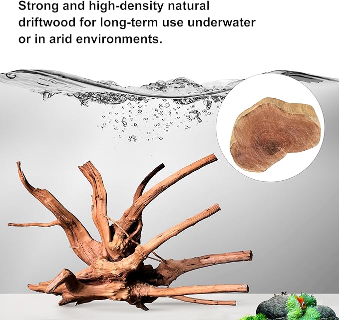 majoywoo Natural Driftwood for Aquarium Decor Fish Tank Decorations, Reptile - Image 3