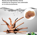 majoywoo Natural Driftwood for Aquarium Decor Fish Tank Decorations, Reptile - Image 3