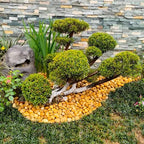 YISZM 40lbs Yellow River Rocks for Landscaping, 2-3 Inch Natural Pebbles for - Image 4