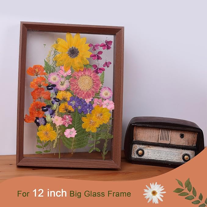 12“ Large Bulk Summer Dried Pressed Flowers - Image 4
