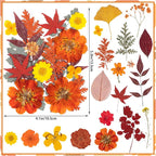 78 Pcs Fall Dried Pressed Flowers - Image 2