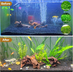 Natural Driftwood Decor for Aquarium Decorations Reptile Tank Accessories - Image 7