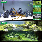 kathson Natural Driftwood for Aquarium - Image 5