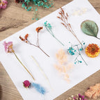 Nuanchu 200 Pcs Natural Dried Pressed Flowers and Leaves Resin Real Dried - Image 6