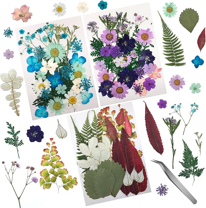 90 Pcs Real Dried Pressed Flowers and Leaves Natural Dried Petals by Cinvo