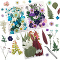 90 Pcs Real Dried Pressed Flowers and Leaves Natural Dried Petals by Cinvo