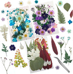 90 Pcs Real Dried Pressed Flowers and Leaves Natural Dried Petals by Cinvo