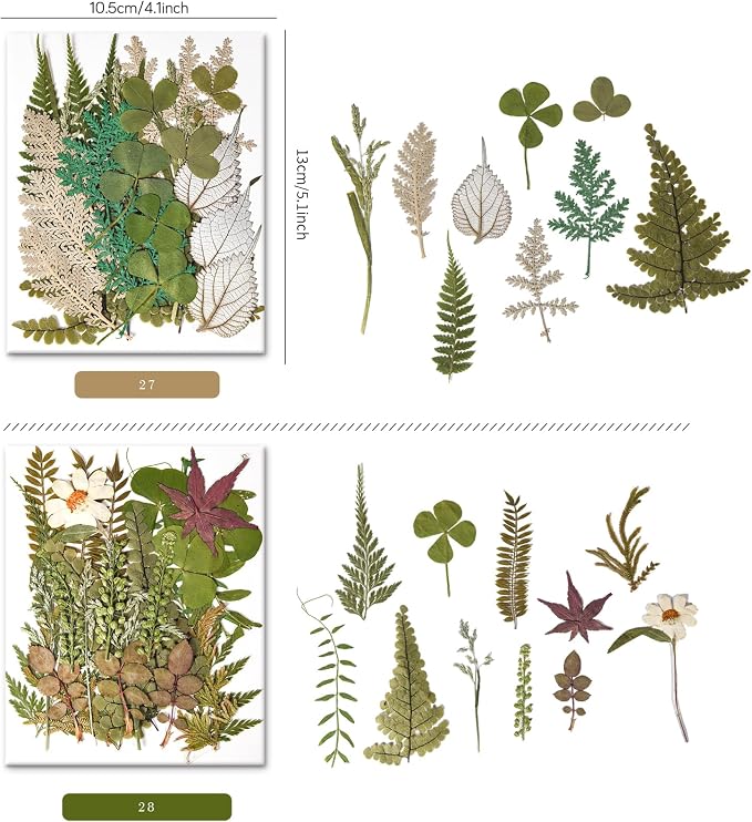 110+PCS Pressed Flowers for Resin Molds, Colorful-H | Real Dried Flower Leaves - Image 2