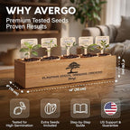 Bonsai Tree Kit Deluxe - Image 4