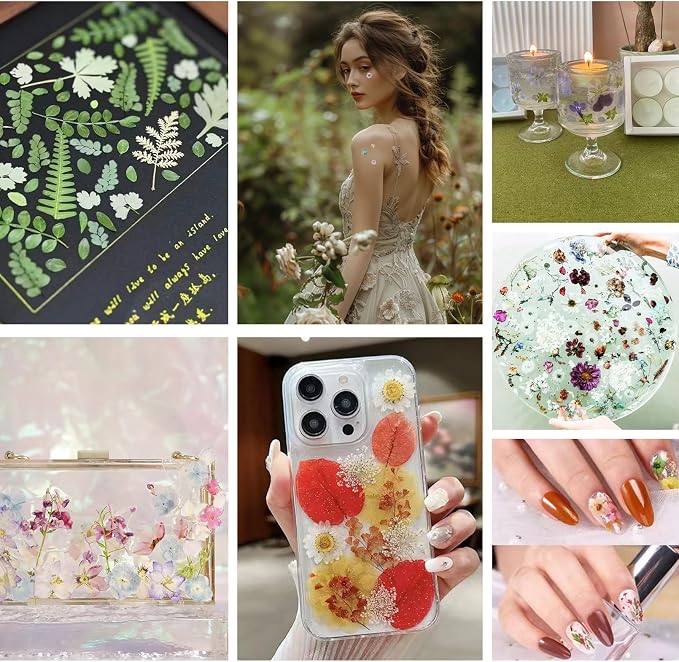 80PCS Pressed Dried Flowers & Leaves, Natural Color | Real Pressed Flowers - Image 4