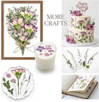 10+ Types Dried Pressed Flowers - Image 6