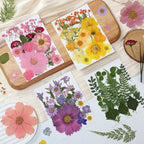 85Pcs Colorful Pressed Flowers for Crafts, Natural Dried Flowers for Crafts - Image 3