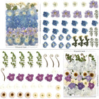 LUXEEASE 140P Hydrangea Dried Pressed Flowers | Large petals, star blooms - Image 3