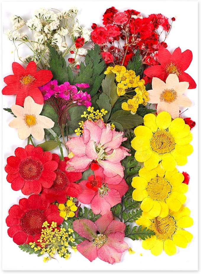 Augshy Dried Pressed Flowers, Natural Resin Flowers, Real Mixed Color Pressed by Augshy