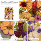 163 pcs Dried Flowers for Resin, Natural Flowers and Leaves Kit - Image 9