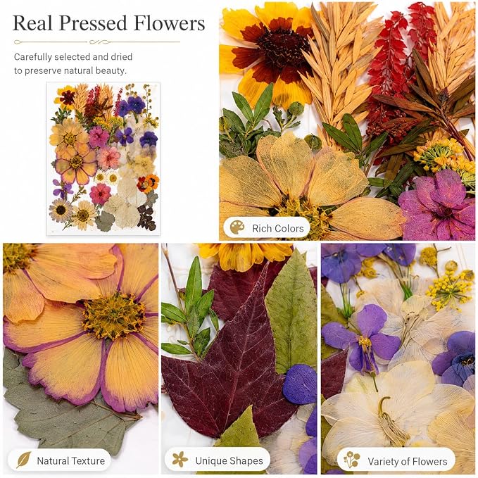 163 pcs Dried Flowers for Resin, Natural Flowers and Leaves Kit - Image 9