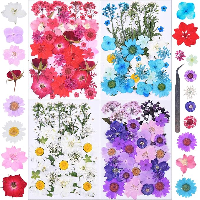 146Pcs Dried Pressed Flowers for Crafts, Xinxinran Dry Flowers Kit for Resin by Unknown